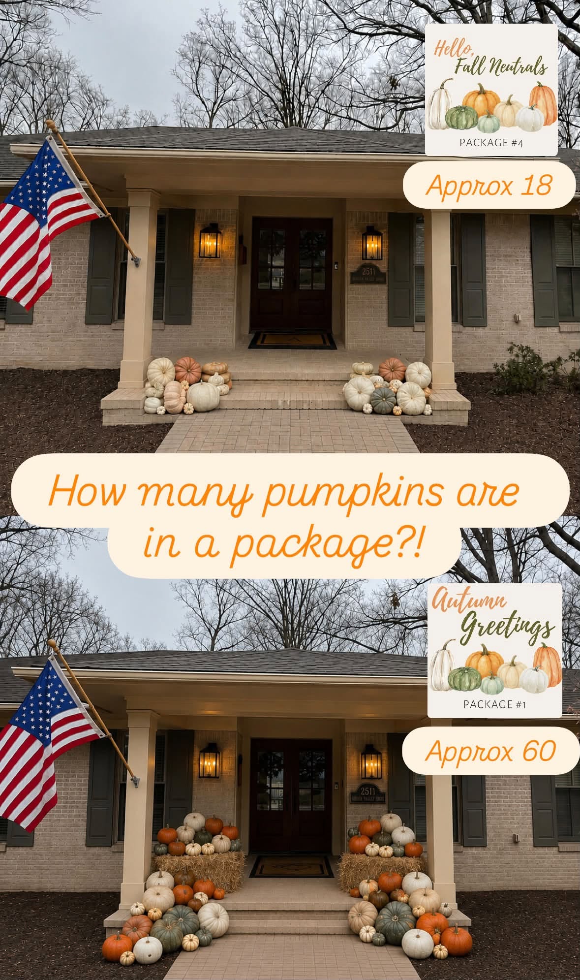 Side-by-side comparison of the Hello, Fall Neutrals package (approx. 18 pumpkins) and the Autumn Greetings package (approx. 60 pumpkins) on the same porch